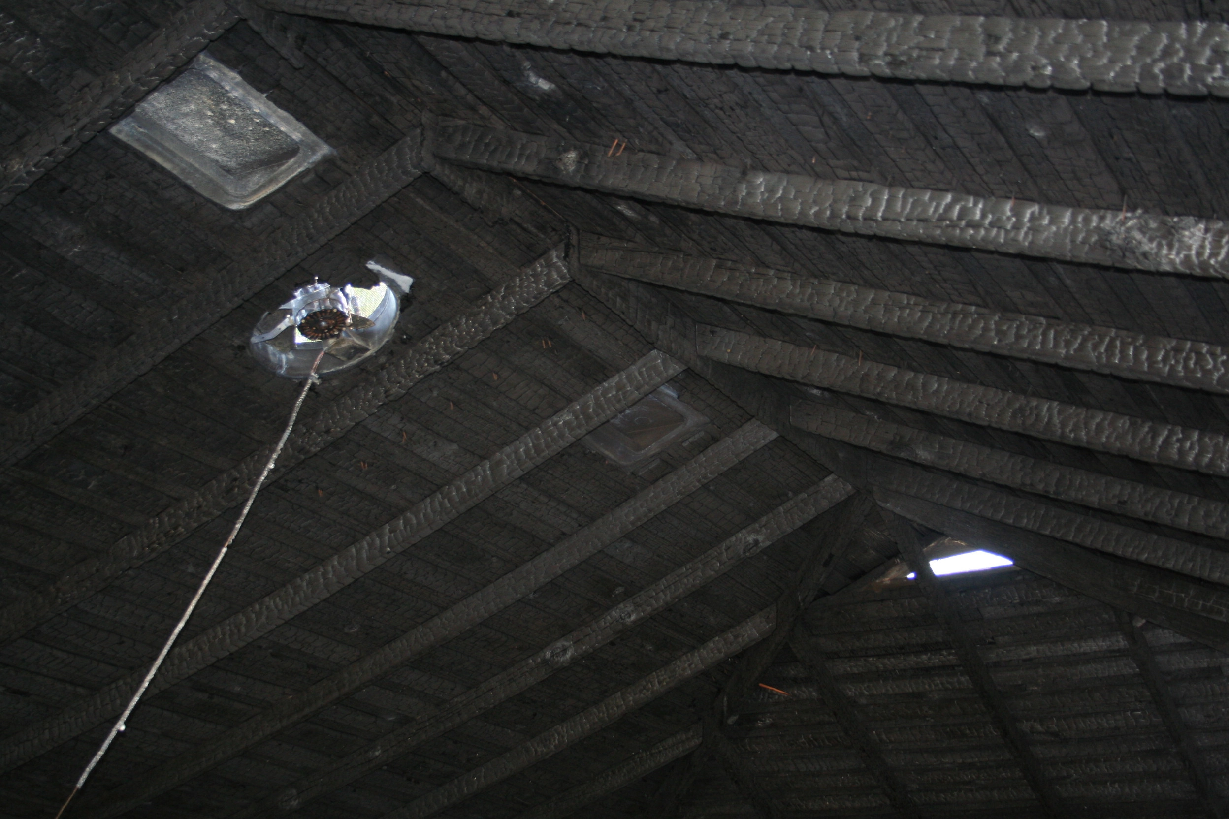Moisture Detection & Water Intrusion Investigation