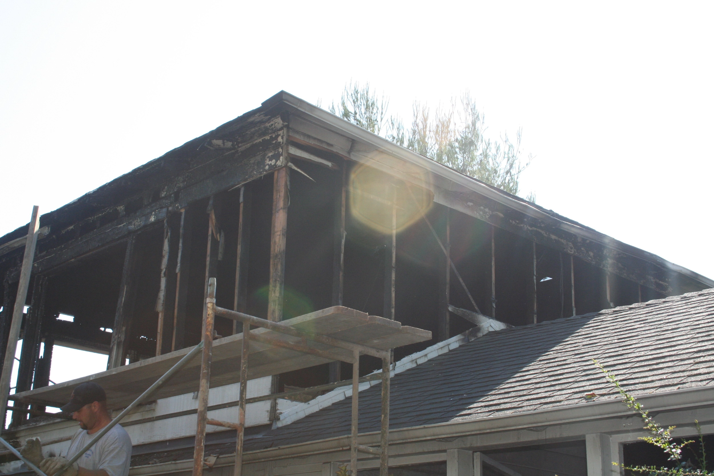Moisture Detection & Water Intrusion Investigation