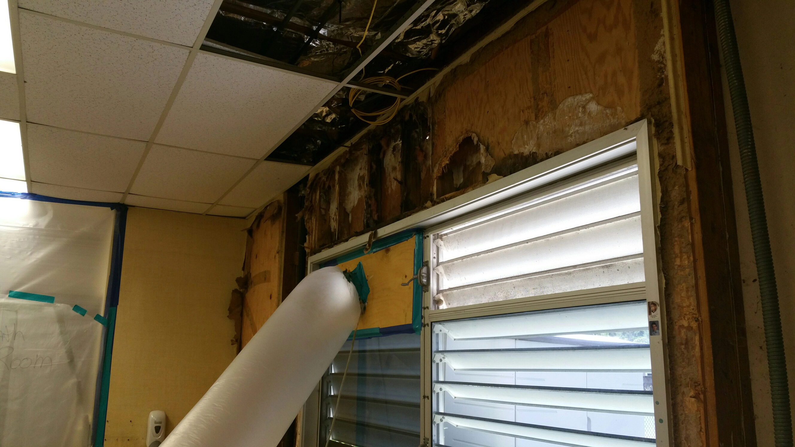 Moisture Detection & Water Intrusion Investigation