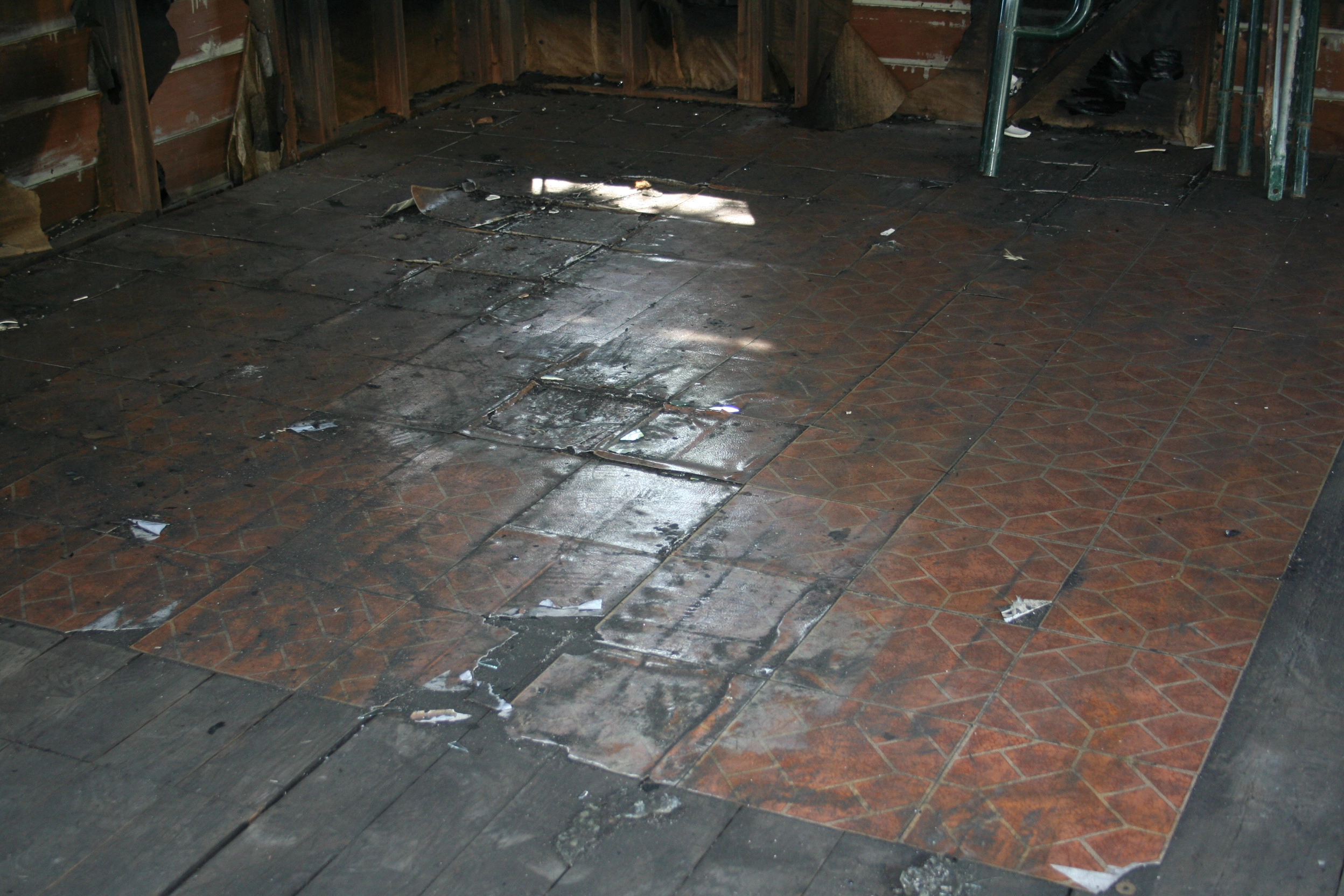 Moisture Detection & Water Intrusion Investigation