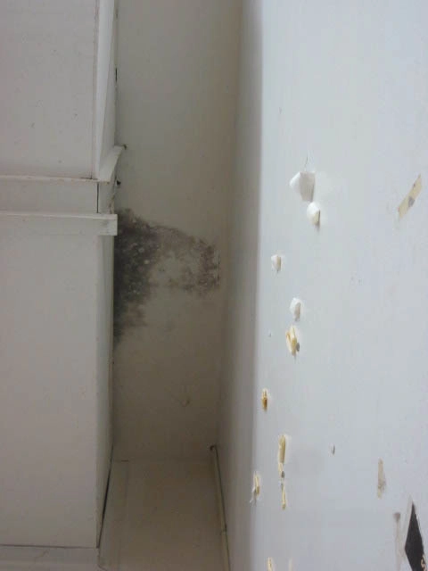 Moisture Detection & Water Intrusion Investigation
