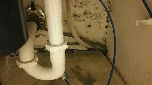 Moisture Detection & Water Intrusion Investigation