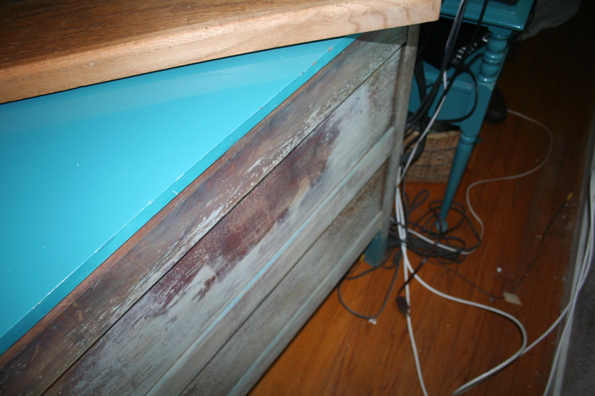Moisture Detection & Water Intrusion Investigation