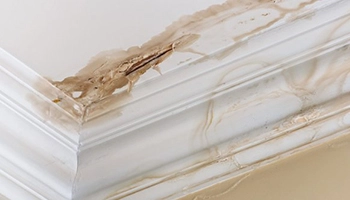Moisture Detection & Water Intrusion Investigation