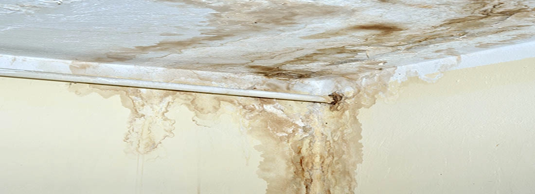 Moisture & Restoration Consultants